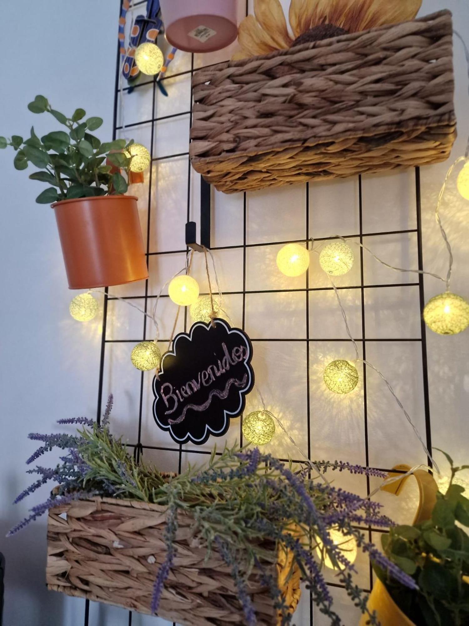 Apartamento La Casa De Carol Toledo